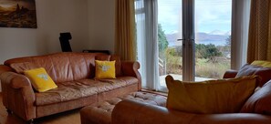 TV connectée, cheminée, livres