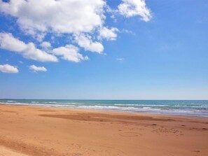 بالقرب من الشاطئ