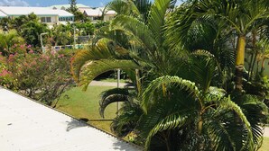 Ein tropisches Resort mit Palmen, einem Pool und einem weißen Gebäude mit grüner Dach.