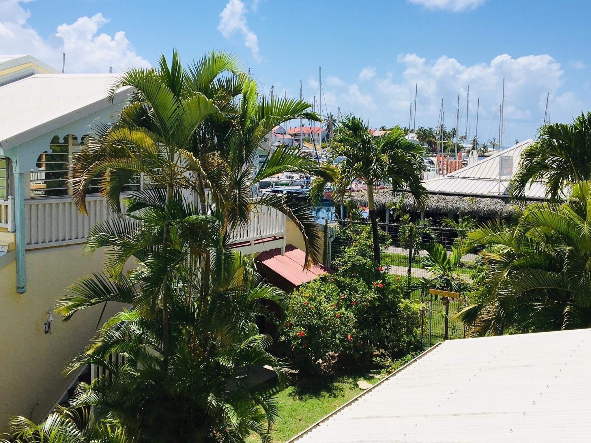 A coastal view with a marina, palm trees, and a building with a red roof.
