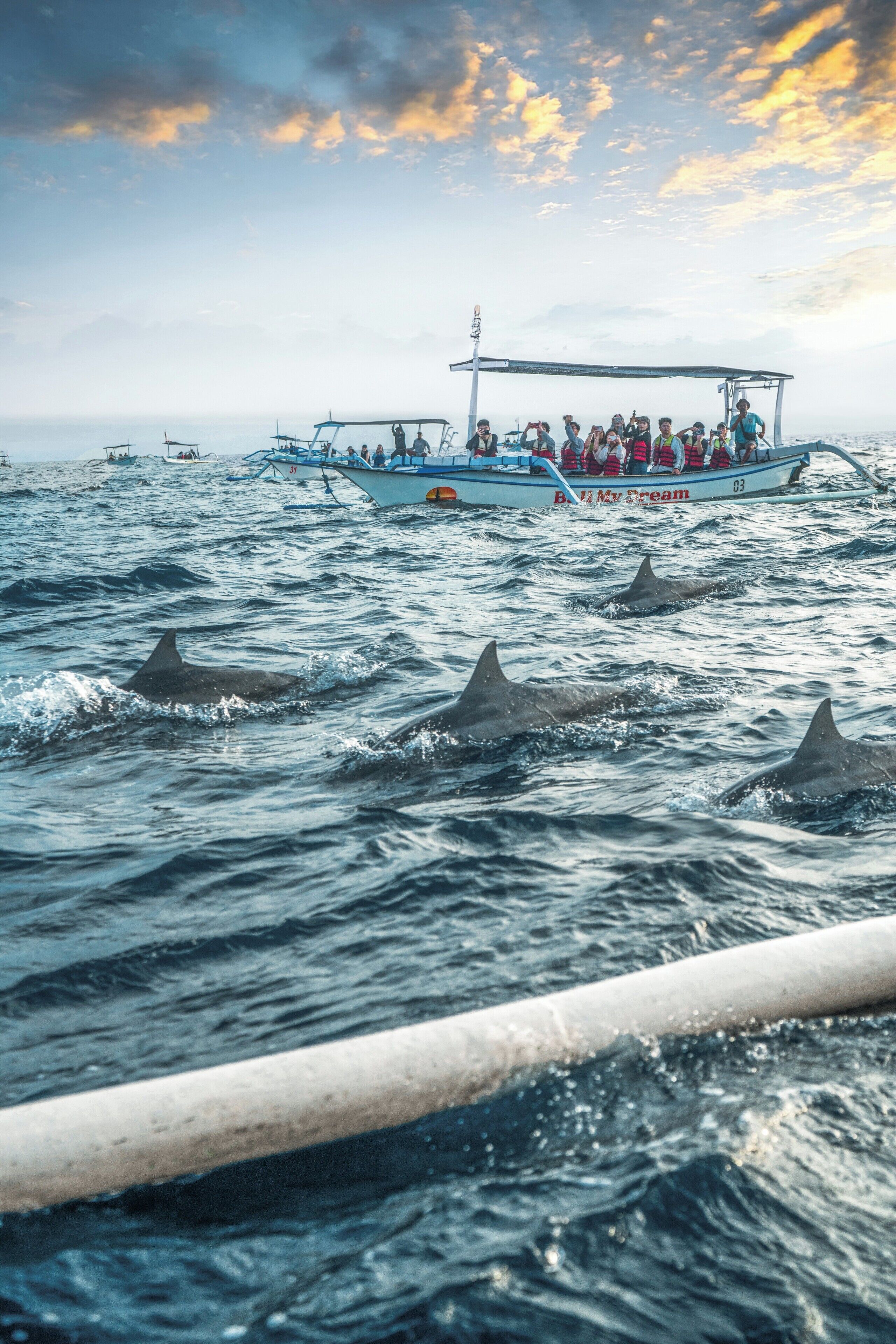 A boat with passengers and dolphins in the water.