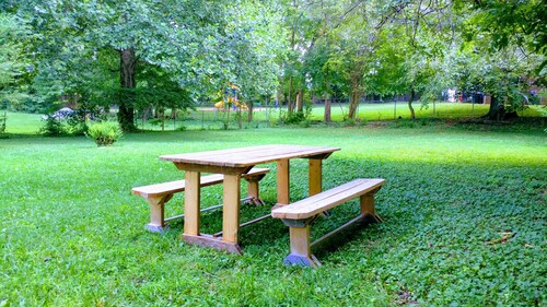 Horse Cave Cottage (Sleeps 13) Mammoth Cave 9.4mi