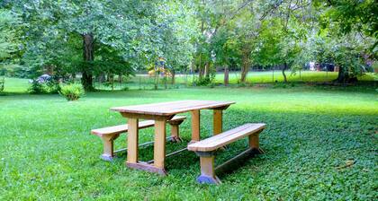 Horse Cave Cottage (Sleeps 13) Mammoth Cave 9.4mi