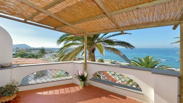 En balkon med udsigt over havet og palmer, et stråtækt tag og en potteplante.