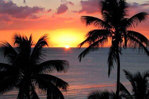 Camastros y toallas de playa 