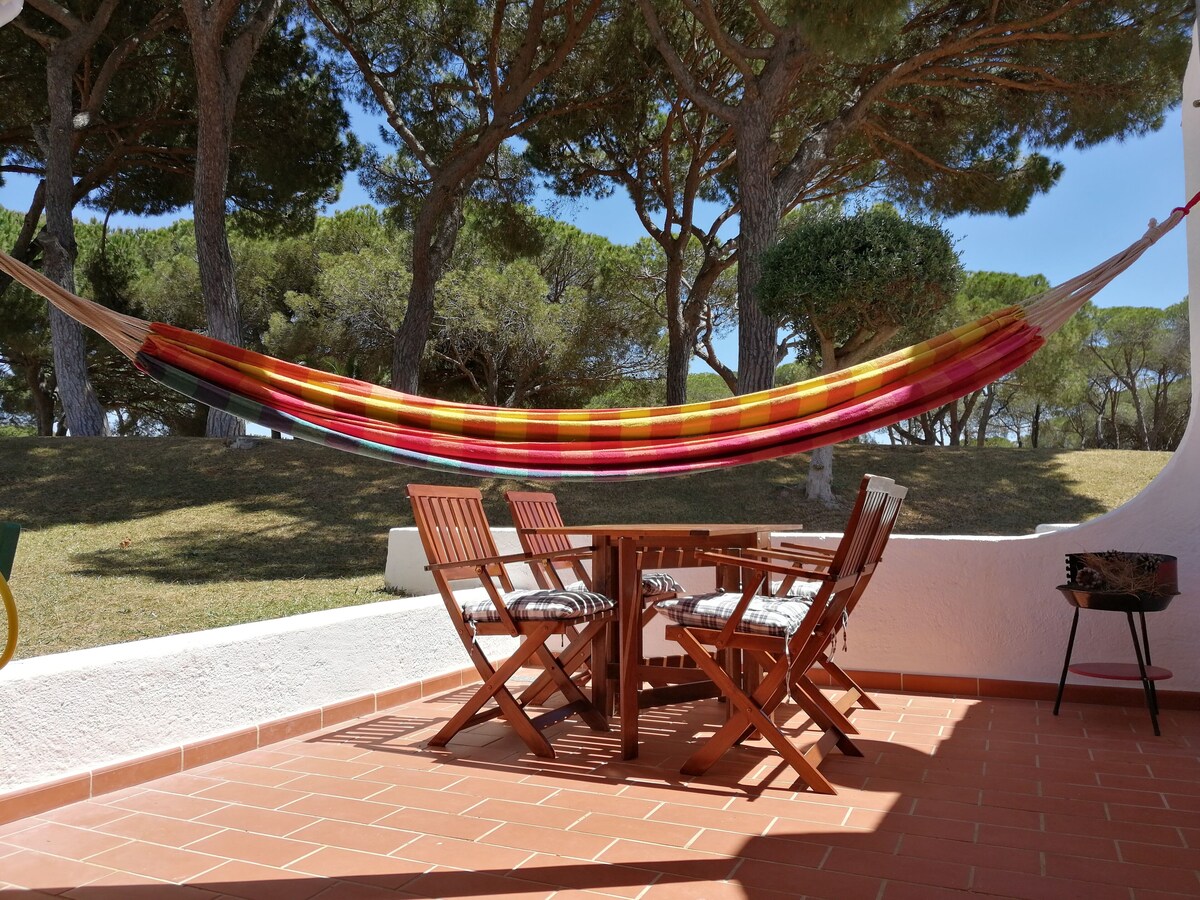 Imagen de perfil del propietario o de la propietaria