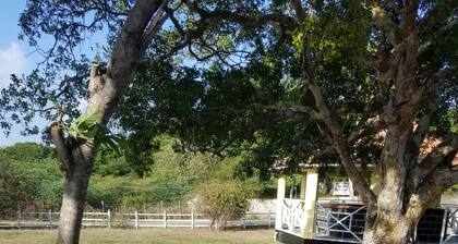 Treasure Beach Inn and Bar