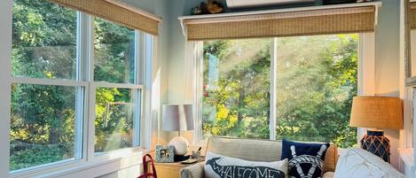 Smart TV, fireplace, DVD player