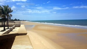 Una extensa playa de arena con un paseo de concreto y palmeras, que conduce al océano.