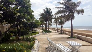 Un paseo marítimo frente a la playa con palmeras, arena y un sendero de piedra que conduce a asientos junto a la orilla.