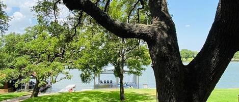 A large tree with a gazebo in the background near a body of water.