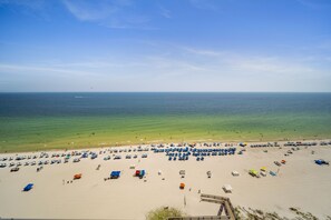 On the beach, sun-loungers - Direct Beachfront Lazy River Waterslide-Hot tub-Indoor Pool-Walk to restaurants (Orange Beach)