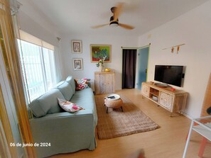 Smart-tv, een open haard, boeken en een muziekbibliotheek