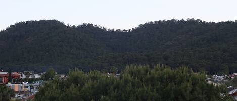 Un paisaje montañoso con un bosque denso y un pequeño pueblo en primer plano.