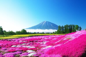 Hiking - Mercure Niseko Resort (Formerly known as Midtown Niseko) (Kutchan)