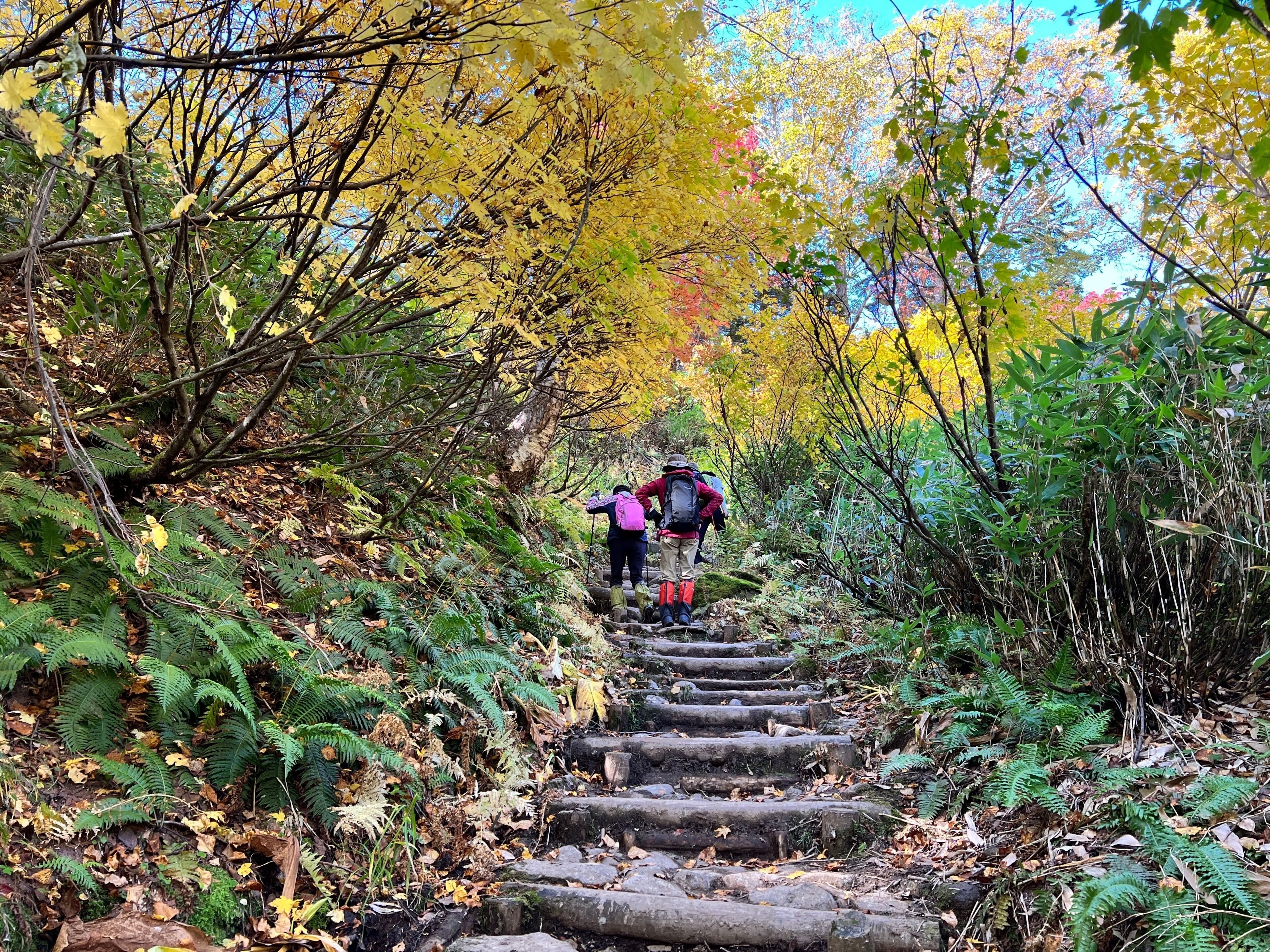 Eine Person wandert auf einer Steintreppe, umgeben von Herbstlaub.