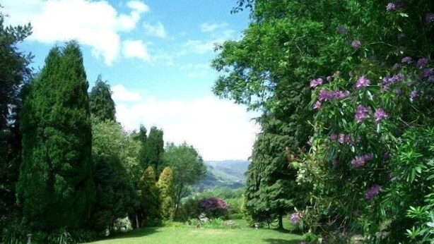 Un jardín exuberante con diversas especies de árboles y arbustos, un césped y un banco al frente.