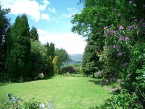 A lush garden with a variety of trees and shrubs, a grassy lawn, and a bench.