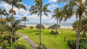 A tropical landscape with palm trees, a grassy area, and a beach in the background. - Villa at Tangalooma - Villa 14 (Moreton Island)