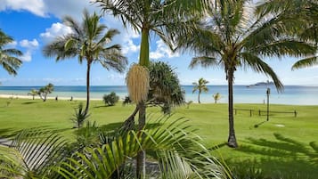 Apartment, 3 Bedrooms | Beach/ocean view