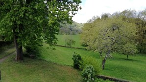 Üppige grüne Landschaft mit einer Steinmauer und einem Baum im Vordergrund.