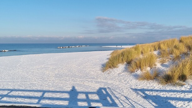 En strand med hvidt sand, blå himmel og sparsom beplantning.