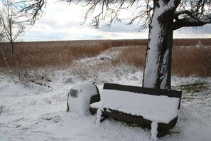 Un banc recouvert de neige, un arbre et, au loin, un champ.
