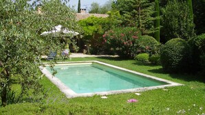 A rectangular swimming pool surrounded by lush greenery and a variety of trees.