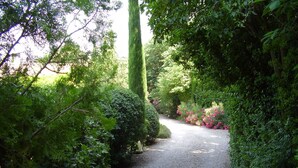 A gravel path in a lush garden with dense foliage and flowering plants.