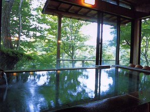 Spa - Wakakiryokan (Nasu)
