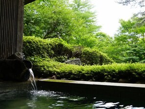 Hot springs - Wakakiryokan (Nasu)
