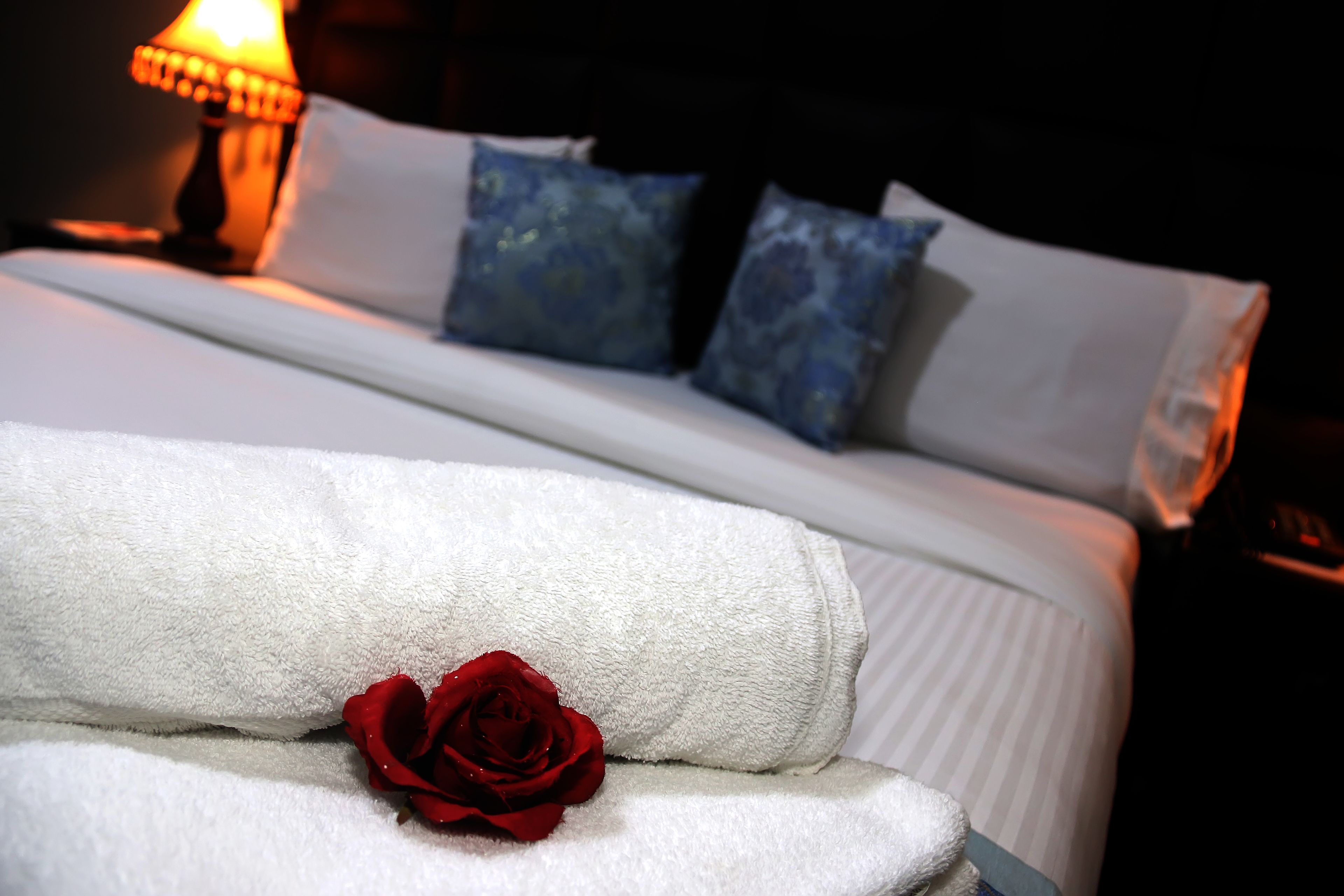 A neatly made bed with white linens, a red rose, and blue patterned pillows.