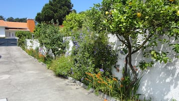 Detalle exterior