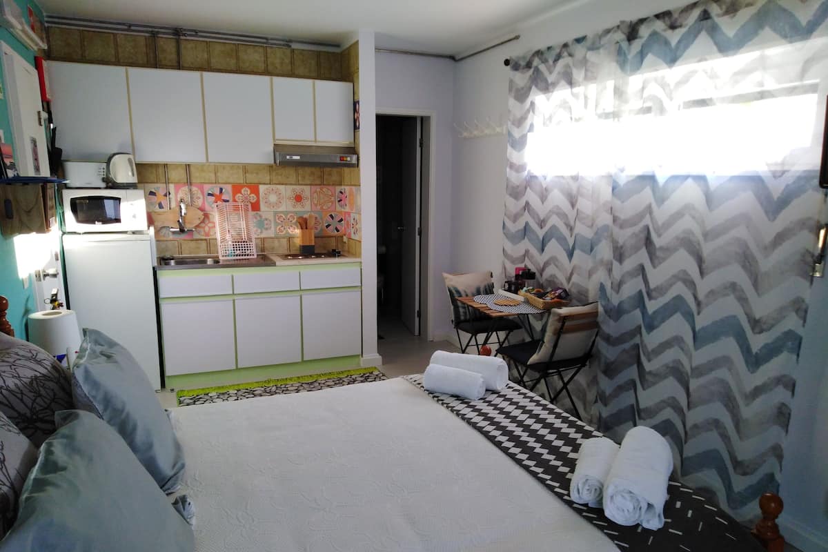Studio | 1 bedroom, individually decorated, iron/ironing board, free WiFi