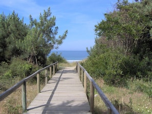 Un paseo marítimo de madera que conduce a una playa, flanqueado por abundante vegetación.