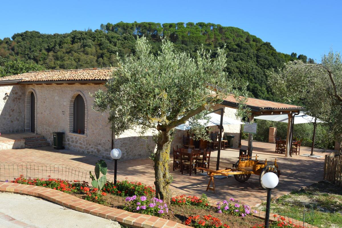 Terraza o patio