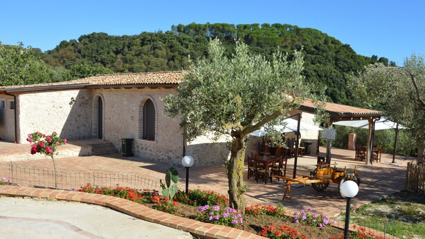 A stone building with arched windows, a paved courtyard with flowers, and a wooden structure with a roof.