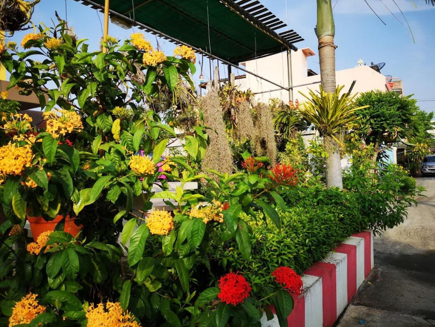 Un jardín con diversas plantas y flores, un edificio blanco con un borde rojo y blanco a rayas, y una estructura de toldo verde.