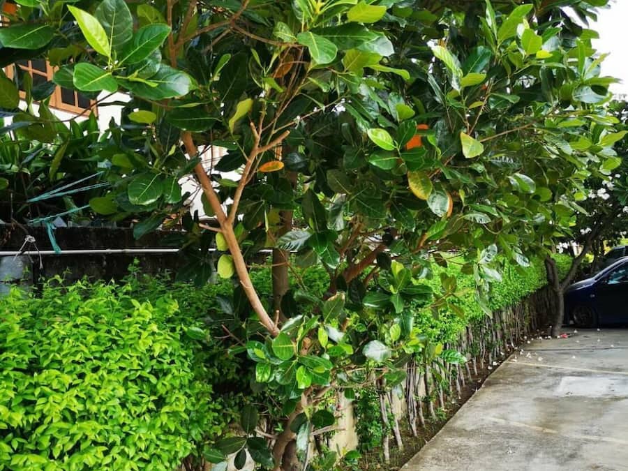 Overnattingsstedets uteområder