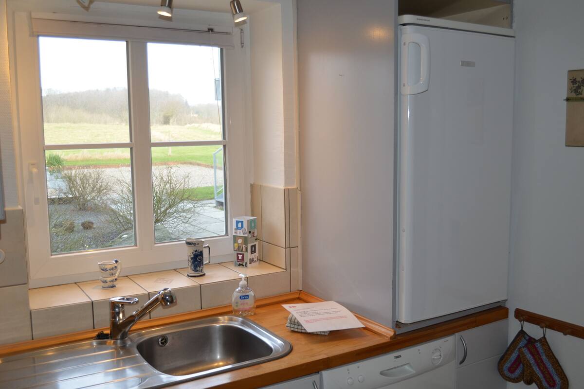 apartment (retro) | private kitchen | fridge, microwave, coffee/tea maker, electric kettle