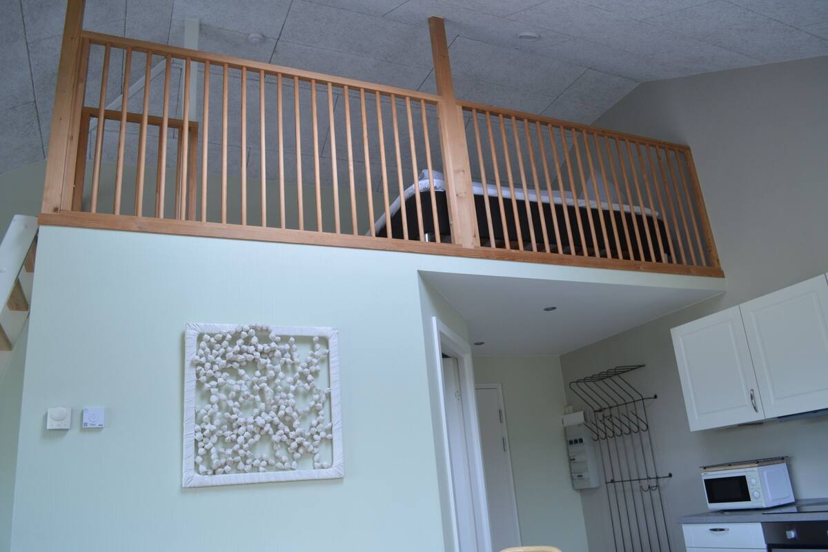 studio (hyggen) | living area | lcd tv, toys, heated floors