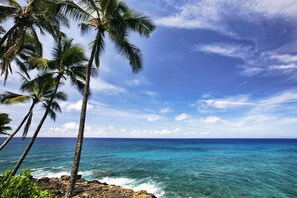 Una playa con palmeras y agua azul cristalina.