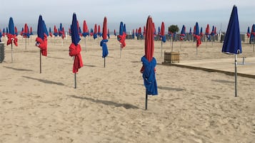 Plage à proximité, chaises longues, serviettes de plage