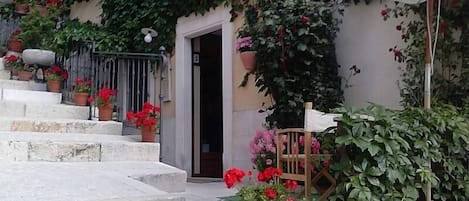 A stone staircase leading to a door, surrounded by potted plants and flowers.