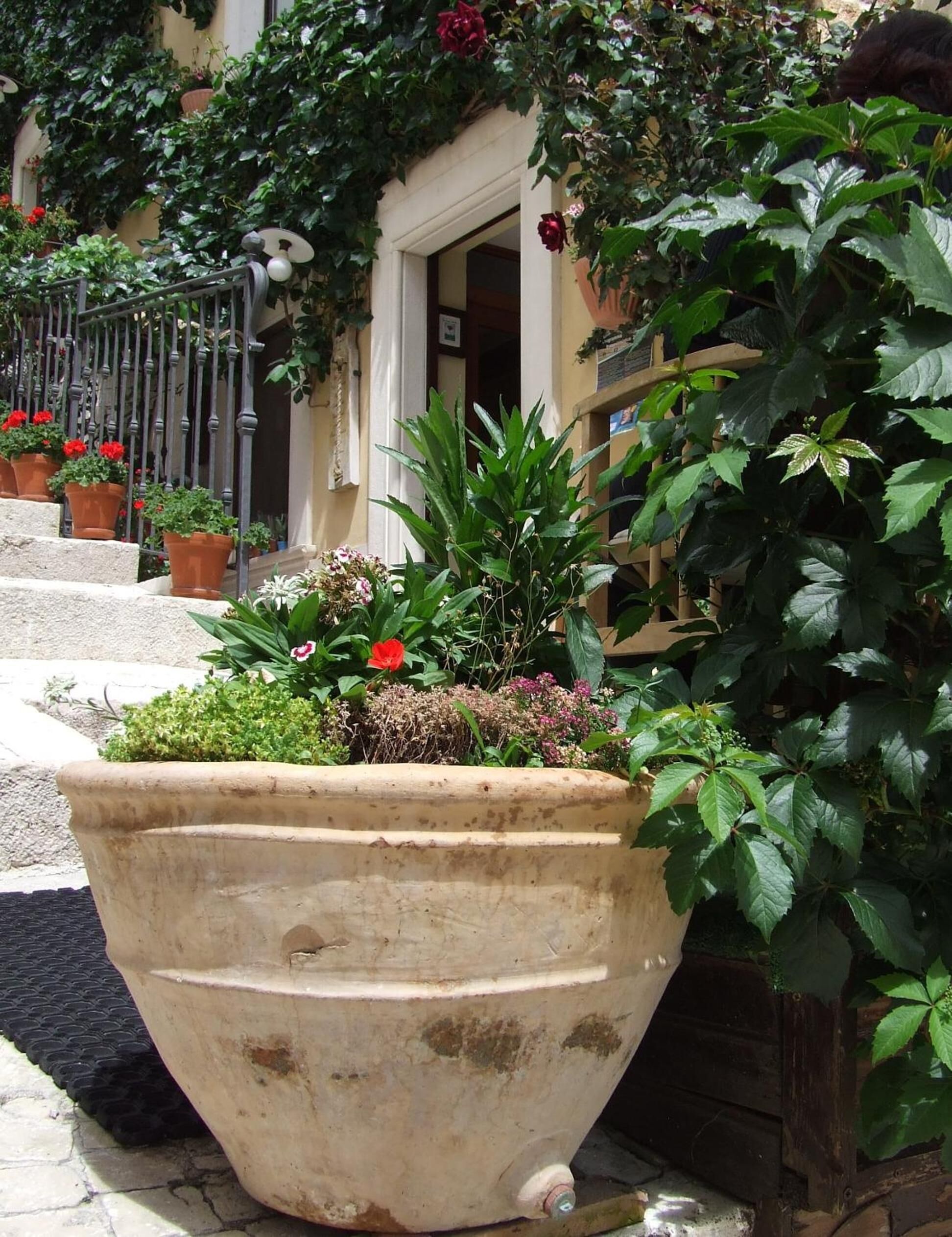 Un ampio vaso di pietra consumato dal tempo, pieno di diverse piante e fiori, posizionato su un'area lastricata.