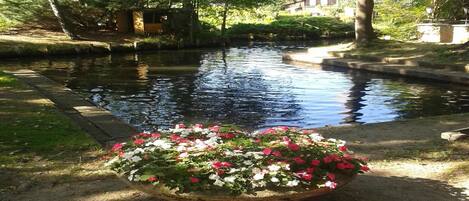 المنطقة المحيطة بالمنشأة