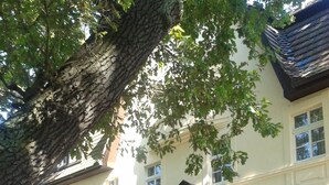 Un edificio con fachada de ladrillo, varias ventanas y una escalera que lleva a un porche con plantas colgantes.