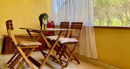 Pinus Village brand new apartment 30 meters from the beach IUN R 6525