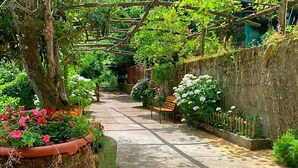 Un sentier de jardin avec un banc en bois, un mur de pierre et diverses plantes et fleurs.