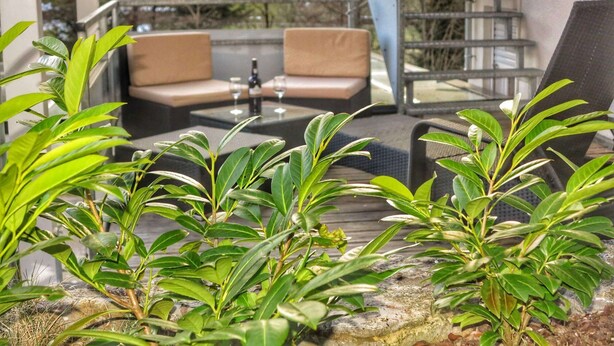 An outdoor seating area with two cushioned chairs and a table, surrounded by green plants. - House with 147m², Sauna, Hot Tub, Terrace, garden, BBQ & WLAN (Reinerzau)